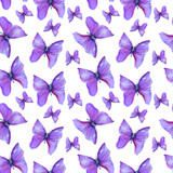 summer pattern with violet butterfly