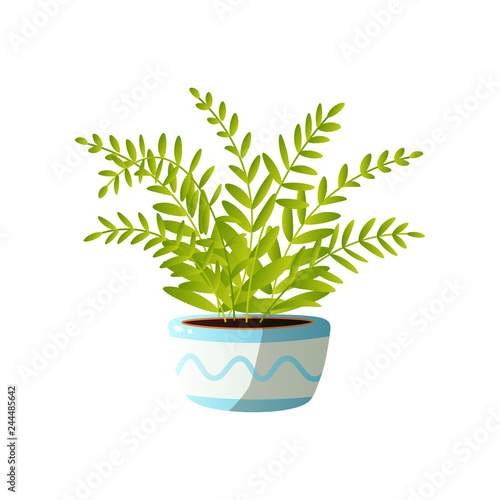 Homemade cute home plant in a beautiful colorful pot.
