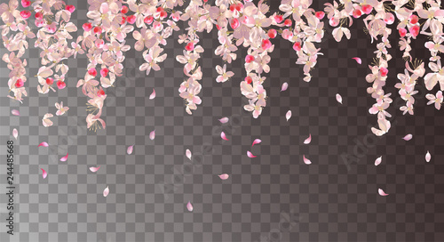 Pink Hangingl Flowers