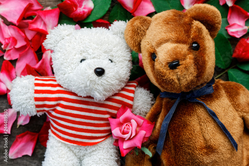 Two Toy bear doll have falling in love with Rose petals background in valentine day.