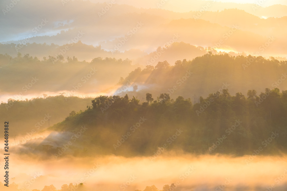 Fototapeta premium The Morning Mist at Sukothai in Thailand