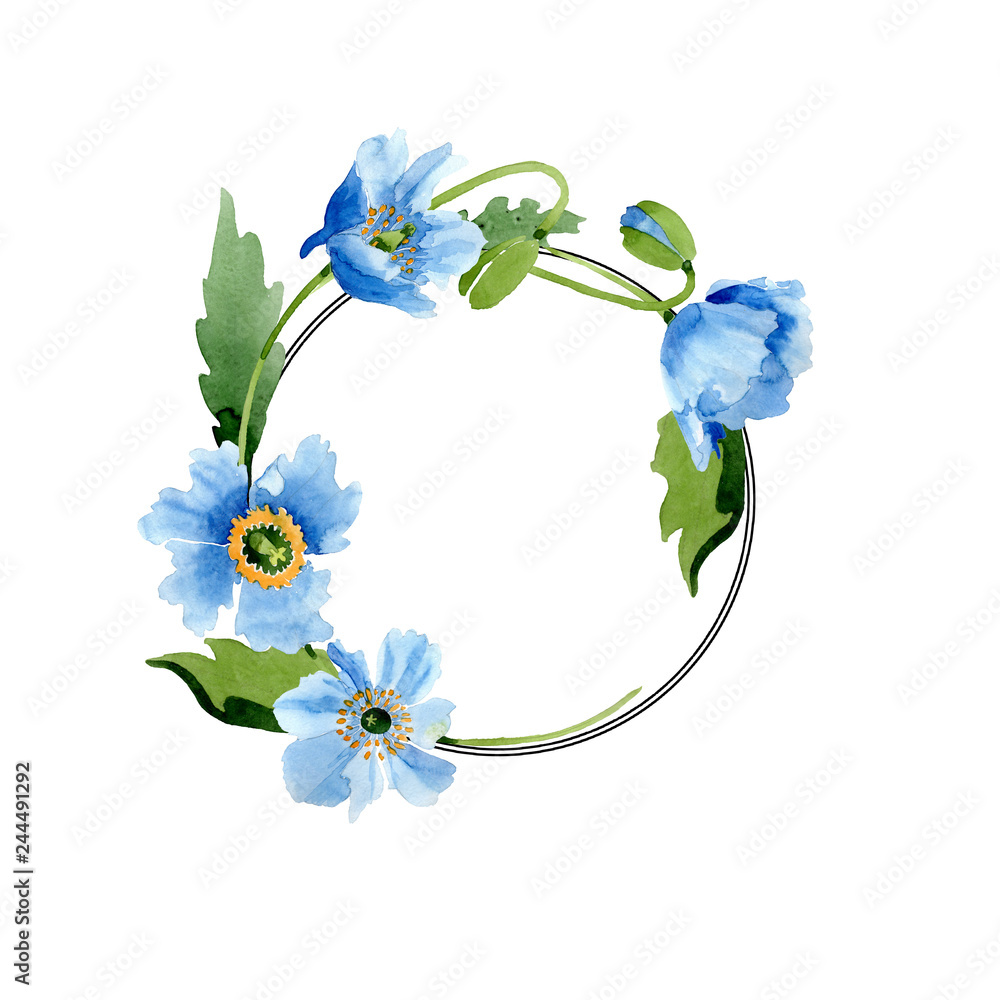 Blue poppy floral botanical flower. Watercolor background illustration set. Frame border ornament square.