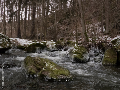 smooth motion of wild water in a river in winter with snow and ice on rocks and stones in the beautiful nature of a forest