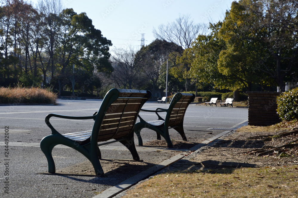 冬の朝日を浴びている公園のベンチ