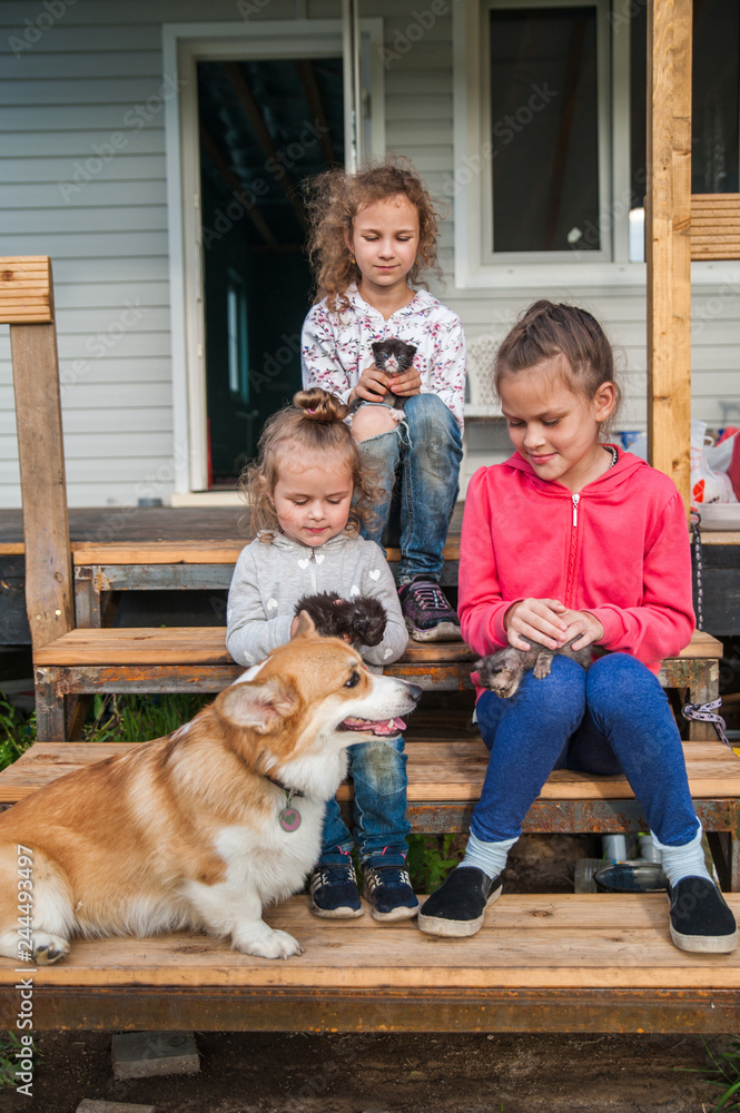 Kids sitting on the steps with kittens and a dog