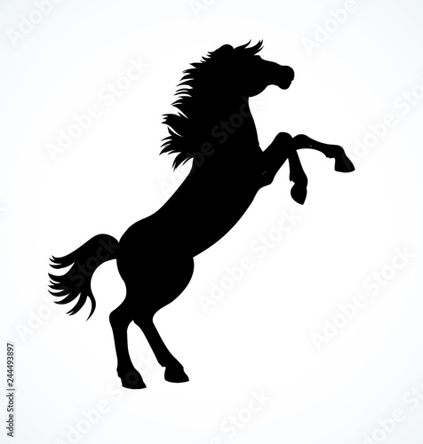 Horse began to buck. Vector drawing