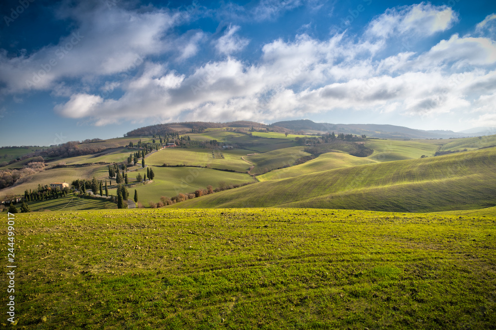 Fototapeta premium Tuscany landscape
