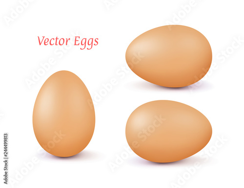 Realistic vector brown 3d egg with a different position