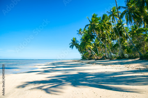 Fototapeta Naklejka Na Ścianę i Meble -  Palm trees casting shadows on a wide remote tropical Brazilian island beach in Bahia Nordeste Brazil