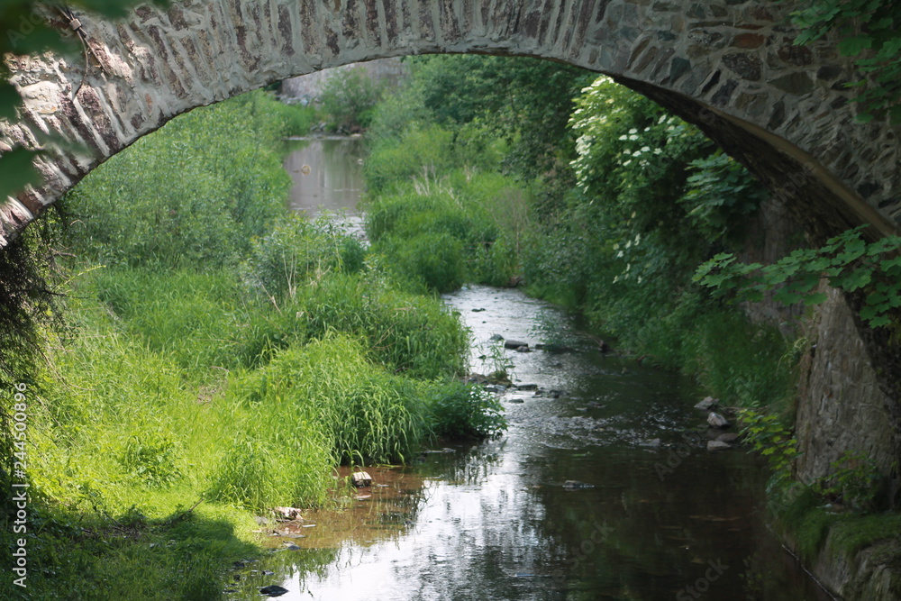 Fototapeta premium bridge over river