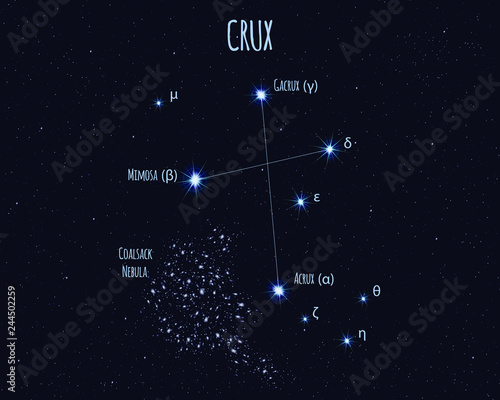 Crux (The Southern Cross) constellation, vector illustration with the names of basic stars against the starry sky