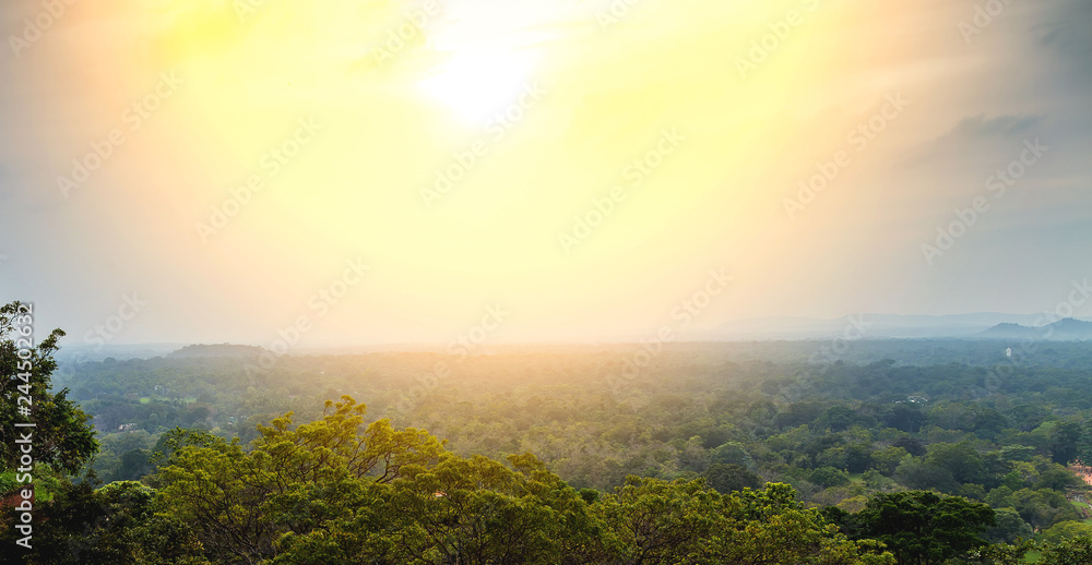 Spring scenes jungle Spring scenes jungle