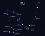 Draco (The Dragon) constellation, vector illustration with the names of basic stars against the starry sky 