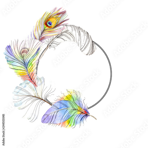 Watercolor Tturkey Feathers Stock Illustration - Download Image Now -  Feather, Turkey - Bird, Vector - iStock