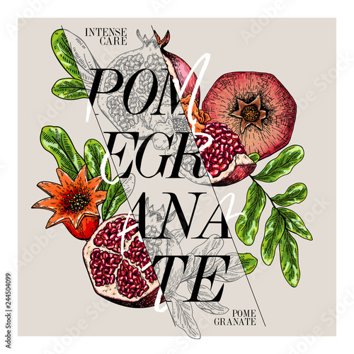 Hand drawn set of beauty product label design. Vector pomegranate cosmetic. Typography template. Engraved art. Essential oils, medicine, treating, aromatherapy, package design, health care.