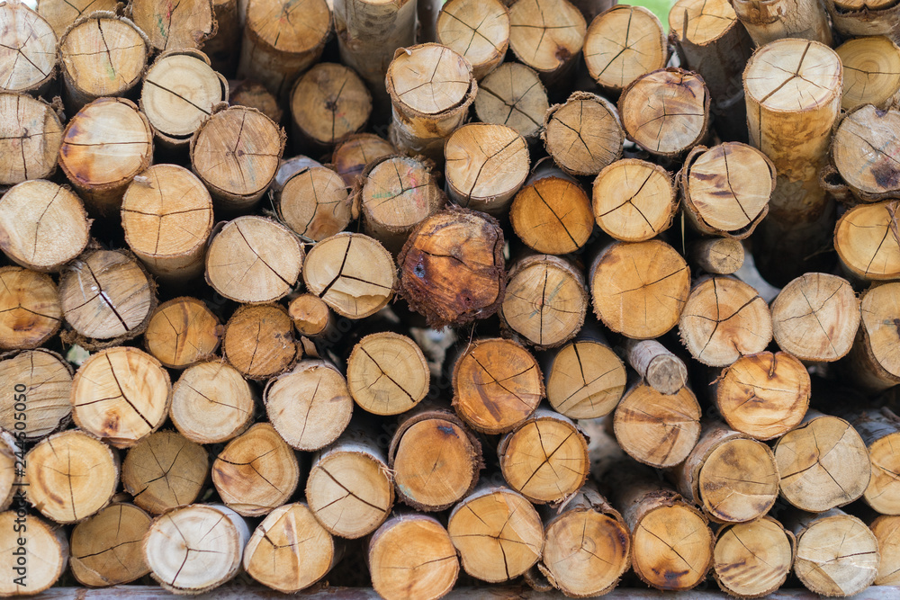 Stacked wooden logs background. Texture of logs background manufacture of wood. Stacked wooden logs background. Texture of logs background manufacture of wood.