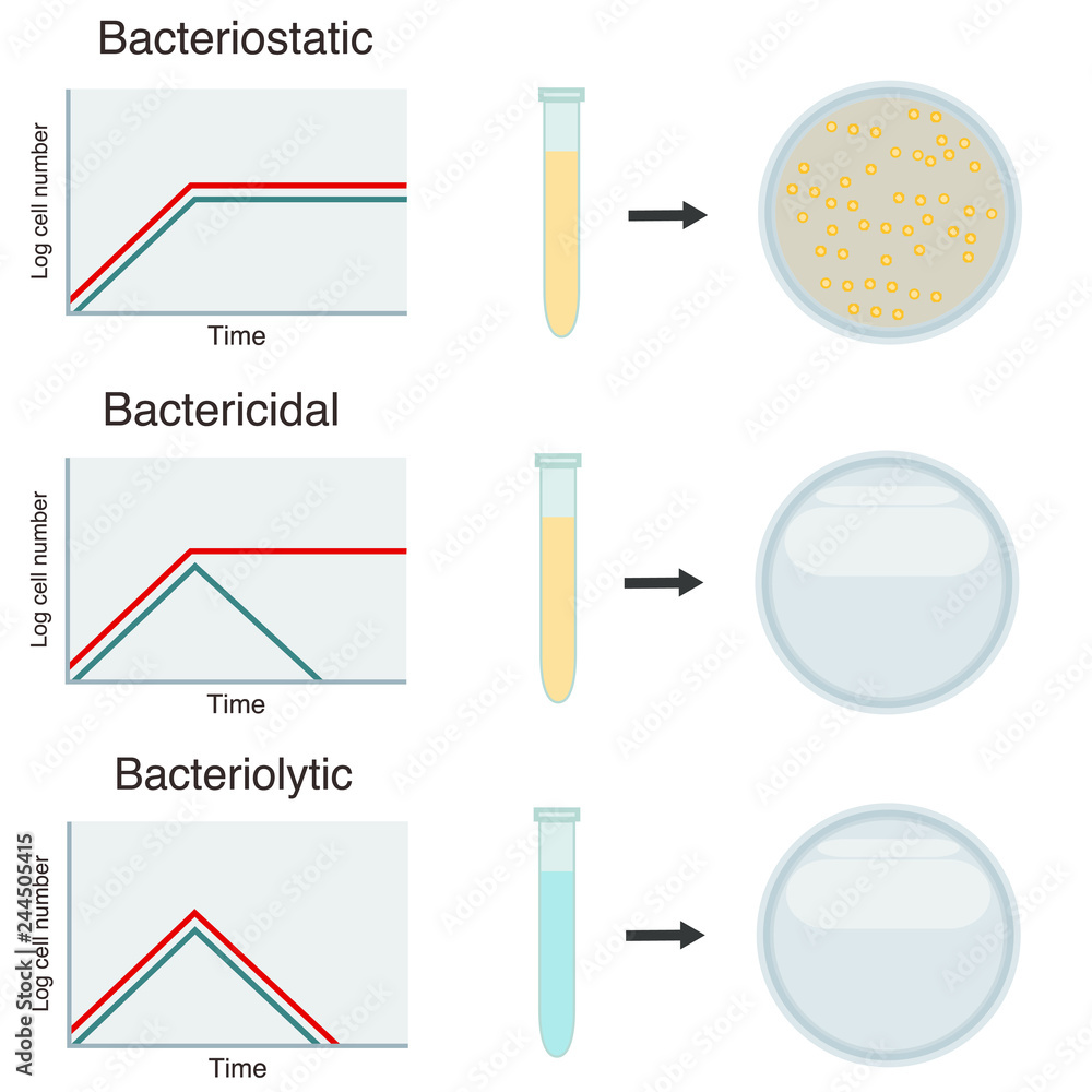 bacteriolytic, bactericidal and bacteriostatic antibiotic Stock Vector