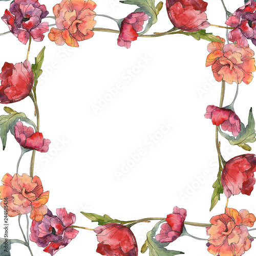 Red poppy floral botanical flower. Watercolor background illustration set. Frame border ornament square.