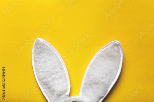 Rabbit ears on yellow background. Easter and holidays as a tradition.