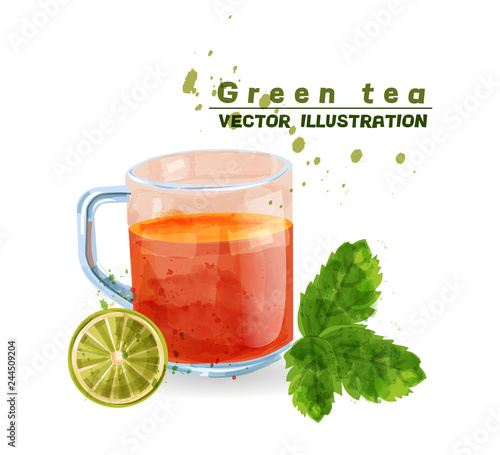 Green tea cup watercolor Vector. Aromatic tea icon template isolated on white