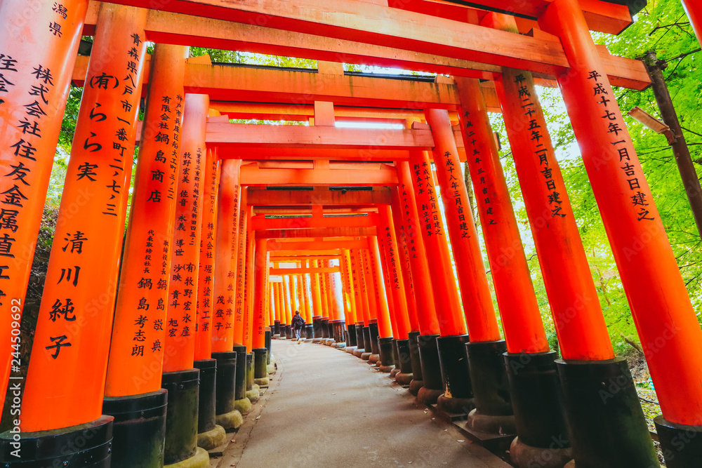 KYOTO, JAPAN - November 20, 2018: Red torii gates in Fushimi Inari shrine, one of the most popular buildings in Kyoto, Japan. KYOTO, JAPAN - November 20, 2018: Red torii gates in Fushimi Inari shrine, one of the most popular buildings in Kyoto, Japan.