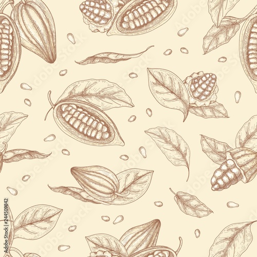 Botanical seamless pattern with pods or fruits of cocoa tree, beans and leaves hand drawn with contour lines on light background. Natural vector illustration in antique style for wrapping paper.