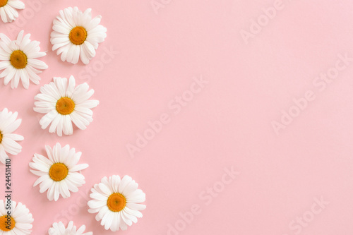 Border frame made of white chamomile flowers