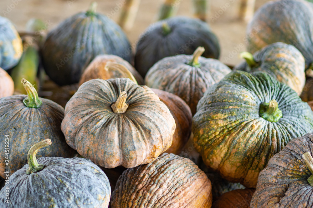 Close up Of Pumpkins yellow and green skin for sale at local market.