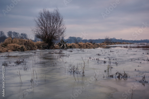 Vistula river at cloudy day somewhere in Poland photo