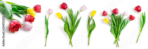 tulip flowers set isolated on white with clipping path included