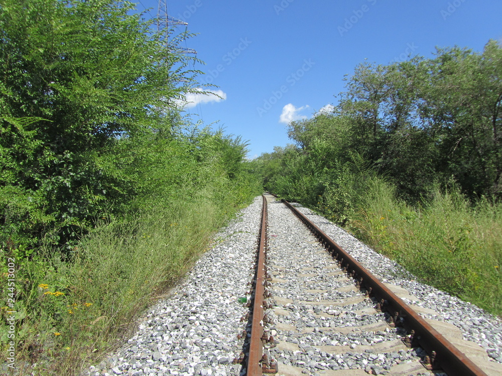 Obraz premium railway in the forest