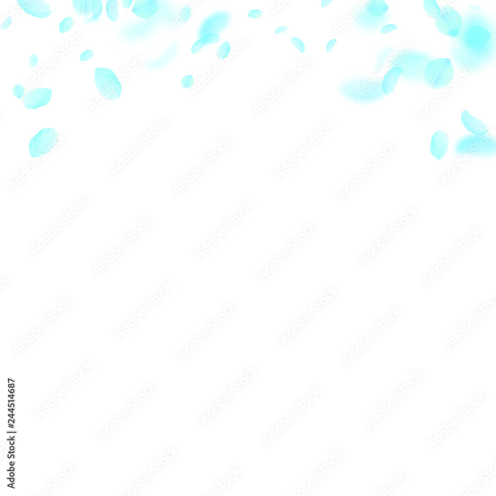 Turquoise flower petals falling down. Bold romanti Turquoise flower petals falling down. Bold romanti