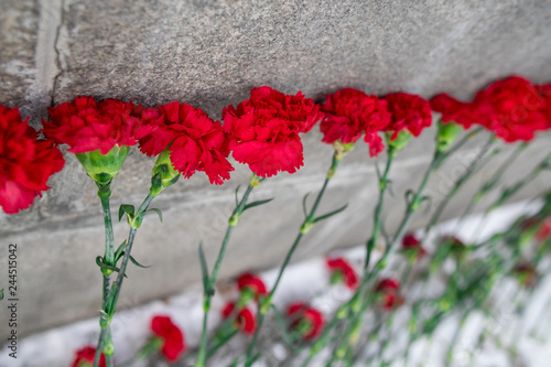 The tragedy of the innocent victims. The memory of the victims. A symbol of mourning. The loss from a terrorist attack. Red flowers.