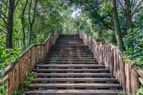Wooden stairs into the forest