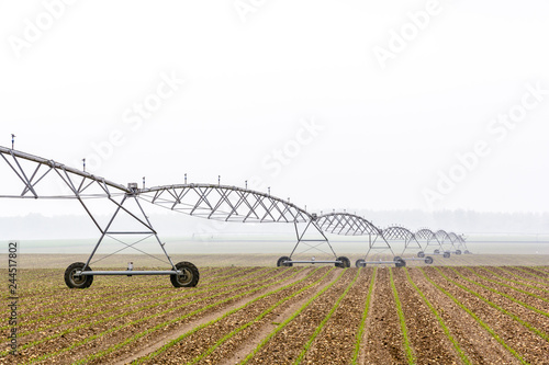 Side view of a center pivot irrigation system in a young field of corn in the french countryside by a misty spring morning.
