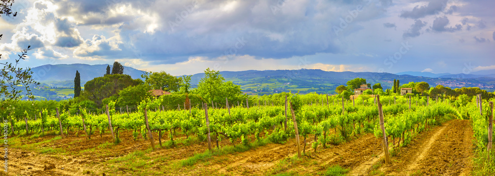 Beautiful Tuscany panorama,  in the Chianti area.