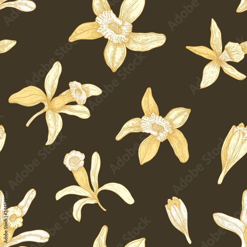 Natural seamless pattern with blooming vanilla flowers on dark background