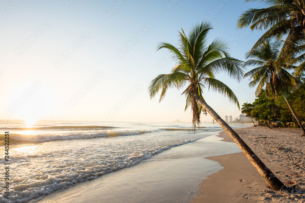 Beautiful gentle wave and sunrise at the tropical beach, Coconut tree plam with wonderful sunlight