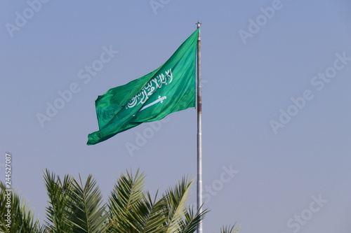 The flag of the Kingdom of Saudi Arabia waving on a flagpole