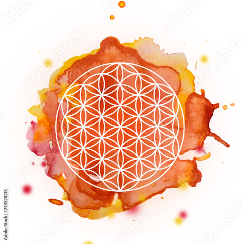 flower of Life geometry