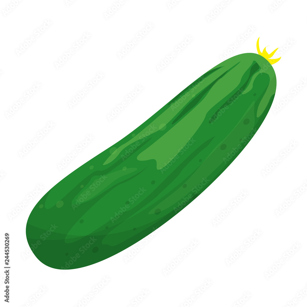 Fresh green cucumber for salad. Tasty healthy Fresh green cucumber for salad. Tasty healthy