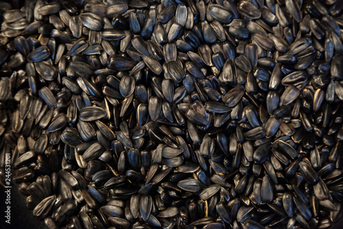Sunflower seeds dried and roasted