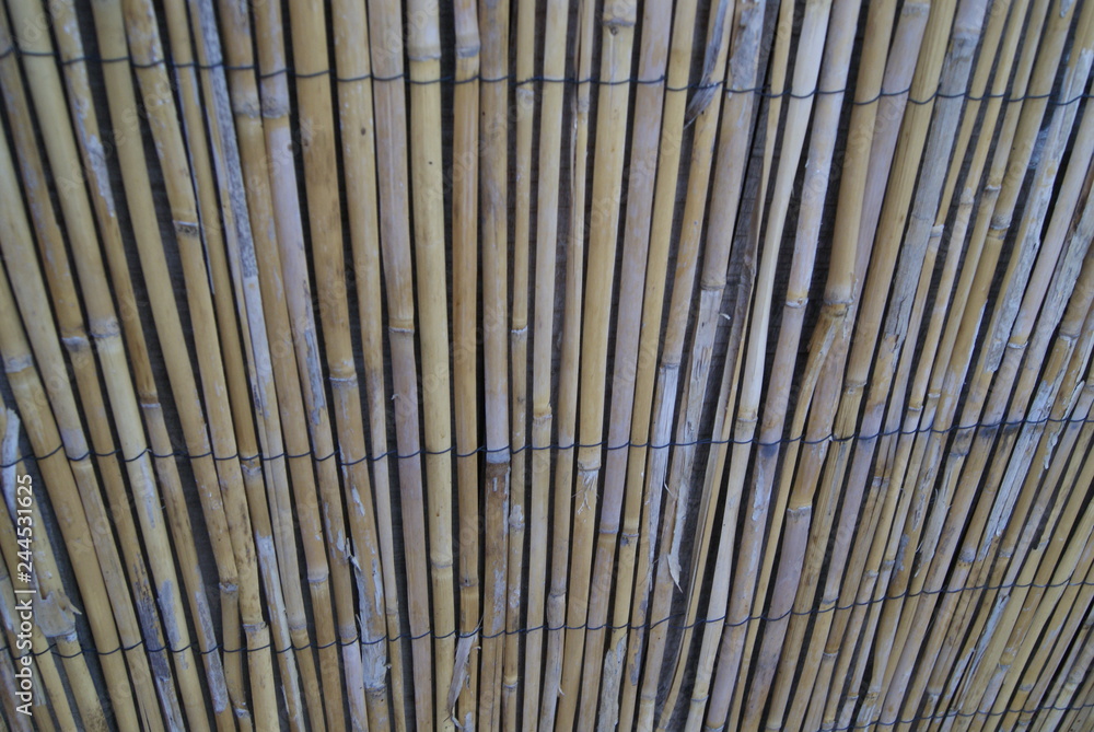 texture texture