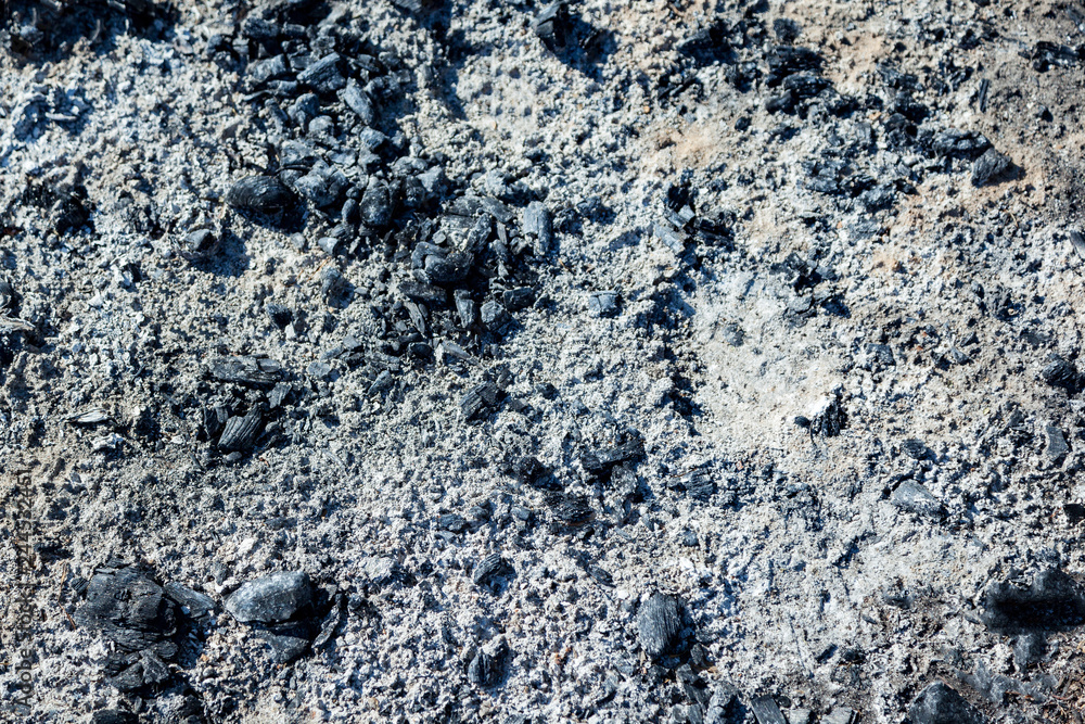 Extinguished and cooled down fire made of wood. Ash and charcoal cooled after burning. Background of coals and ash. Extinguished and cooled down fire made of wood. Ash and charcoal cooled after burning. Background of coals and ash.