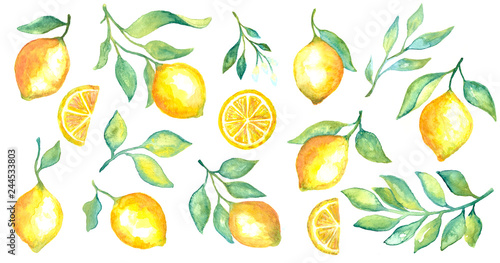 Watercolor fruit lemon and green leaves set on white background