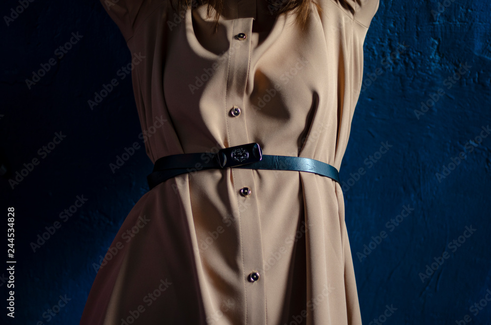 portrait of a girl with a strong character dressed in a beautiful vintage shining dress and posing for a photo portrait of a girl with a strong character dressed in a beautiful vintage shining dress and posing for a photo