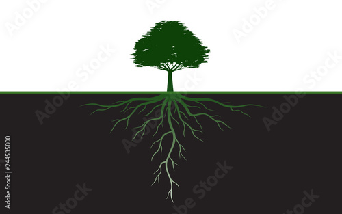 Black Spring Tree with Leaves. Vector Illustration.