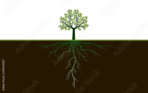 Green Spring Tree with Leaves. Vector Illustration.
