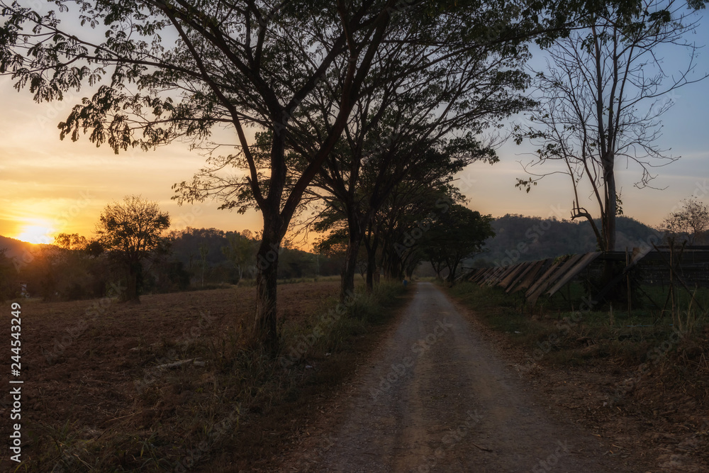 Naklejka premium local road at farm during sunset
