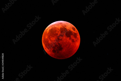 Super Blood Wolf Moon photo